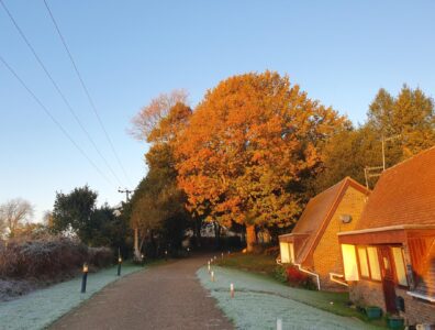 The winter morning sun, shines onto Cottages 32 and 33