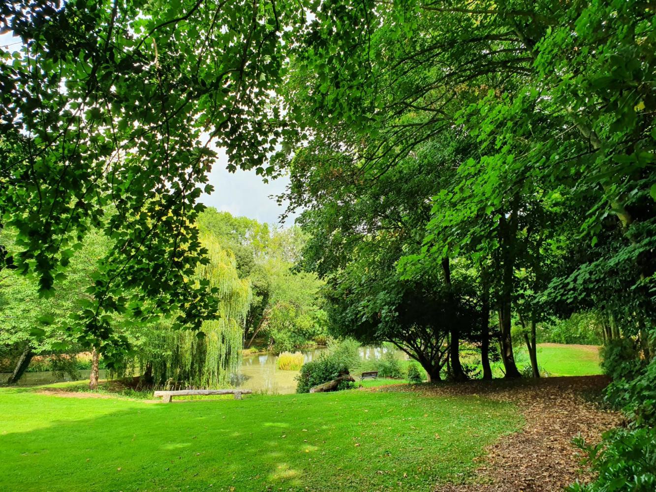 Very green grass and trees nearing the lake area of the Cottages grounds with a bench and willow tree in the background overlooking the Lake.