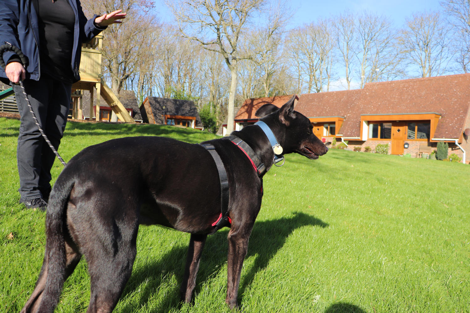 Dog Friendly Holiday Cottages, East Sussex